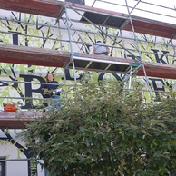 Artystka maluje mural „Książki do nieba” na ścianie Filii nr 9, pracując na rusztowaniu.